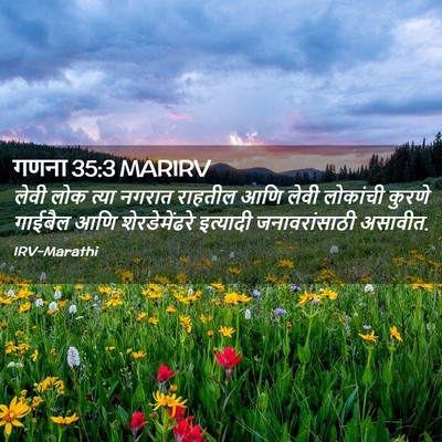 Picture 02 - गणना 35:3 MARIRV - लेवी लोक त्या - Bible Verse Picture