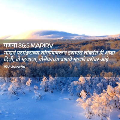 Picture 02 - गणना 36:5 MARIRV - मोशेने - Bible Verse Picture