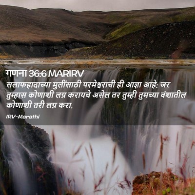 Picture 02 - गणना 36:6 MARIRV - सलाफहादाच्या - Bible Verse Picture