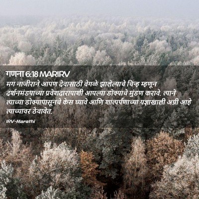 Picture 02 - गणना 6:18 MARIRV - मग नाजीराने आपण - Bible Verse Picture
