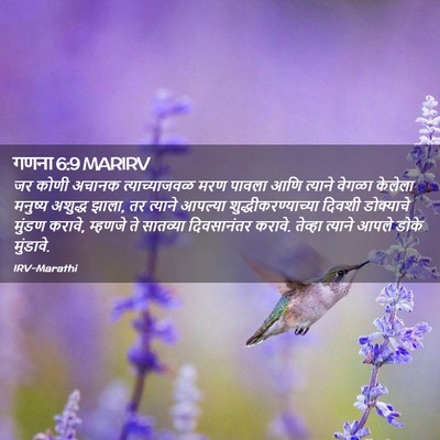 Picture 02 - गणना 6:9 MARIRV - जर कोणी अचानक - Bible Verse Picture