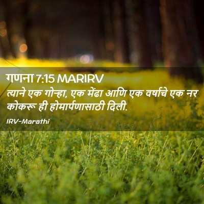 Picture 02 - गणना 7:15 MARIRV - त्याने एक गोऱ्हा, - Bible Verse Picture
