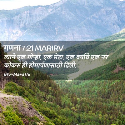 Picture 02 - गणना 7:21 MARIRV - त्याने एक गोऱ्हा, - Bible Verse Picture