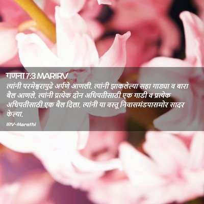 Picture 02 - गणना 7:3 MARIRV - त्यांनी - Bible Verse Picture