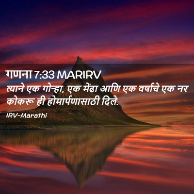 Picture 02 - गणना 7:33 MARIRV - त्याने एक गोऱ्हा, - Bible Verse Picture