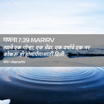 Picture 02 - गणना 7:39 MARIRV - त्याने एक गोऱ्हा, - Bible Verse Picture