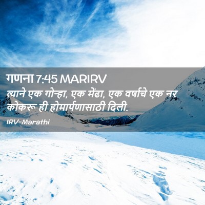 Picture 02 - गणना 7:45 MARIRV - त्याने एक गोऱ्हा, - Bible Verse Picture