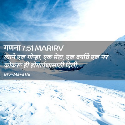 Picture 02 - गणना 7:51 MARIRV - त्याने एक गोऱ्हा, - Bible Verse Picture