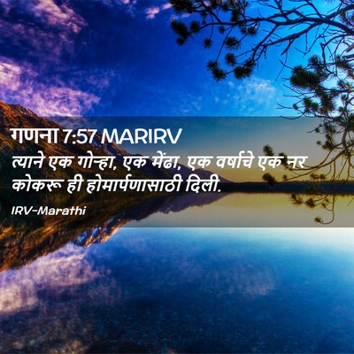 Picture 02 - गणना 7:57 MARIRV - त्याने एक गोऱ्हा, - Bible Verse Picture