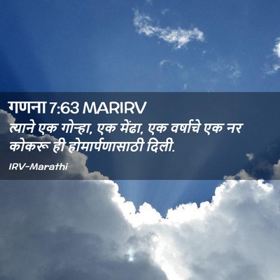 Picture 02 - गणना 7:63 MARIRV - त्याने एक गोऱ्हा, - Bible Verse Picture