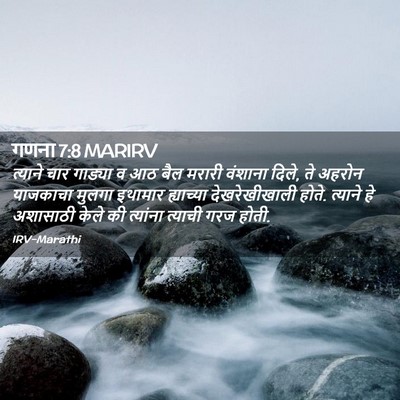 Picture 02 - गणना 7:8 MARIRV - त्याने चार गाड्या - Bible Verse Picture