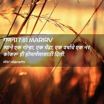 Picture 02 - गणना 7:81 MARIRV - त्याने एक गोऱ्हा, - Bible Verse Picture