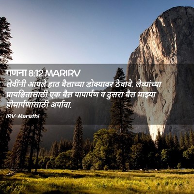 Picture 02 - गणना 8:12 MARIRV - लेवींनी आपले हात - Bible Verse Picture