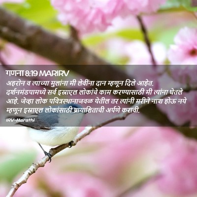Picture 02 - गणना 8:19 MARIRV - अहरोन व त्याच्या - Bible Verse Picture