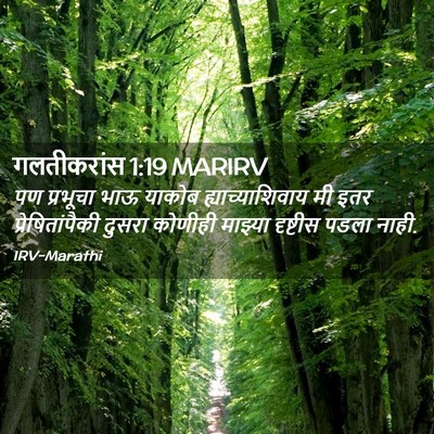 Picture 02 - गलतीकरांस 1:19 MARIRV - पण प्रभूचा भाऊ - Bible Verse Picture