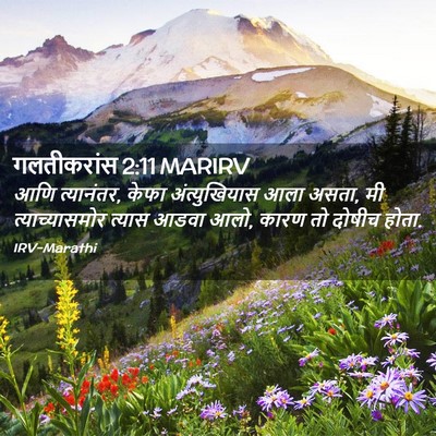 Picture 02 - गलतीकरांस 2:11 MARIRV - आणि त्यानंतर, केफा - Bible Verse Picture