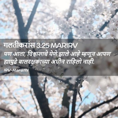 Picture 02 - गलतीकरांस 3:25 MARIRV - पण आता, विश्वासाचे - Bible Verse Picture