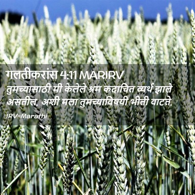 Picture 02 - गलतीकरांस 4:11 MARIRV - तुमच्यासाठी मी - Bible Verse Picture