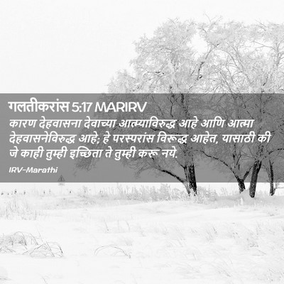Picture 02 - गलतीकरांस 5:17 MARIRV - कारण देहवासना - Bible Verse Picture