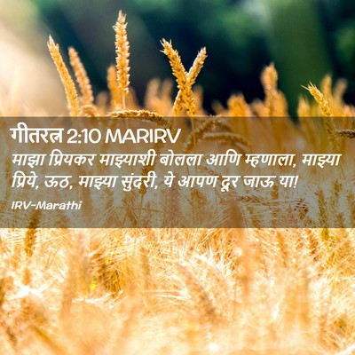 Picture 02 - गीतरत्न 2:10 MARIRV - माझा प्रियकर - Bible Verse Picture