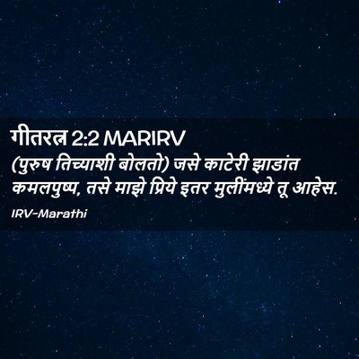 Picture 02 - गीतरत्न 2:2 MARIRV - (पुरुष तिच्याशी - Bible Verse Picture