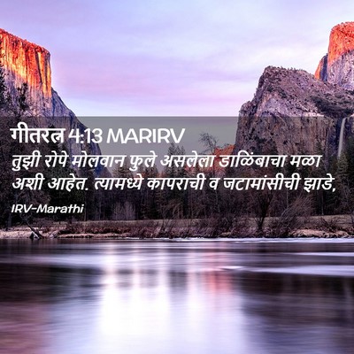 Picture 02 - गीतरत्न 4:13 MARIRV - तुझी रोपे मोलवान - Bible Verse Picture