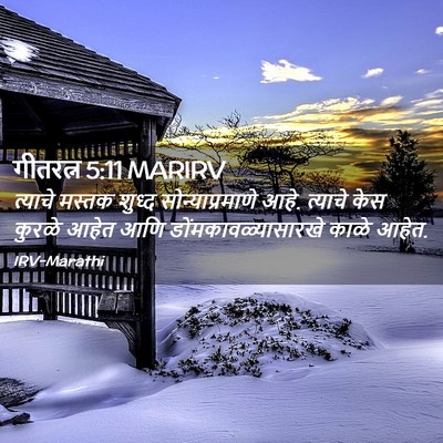 Picture 02 - गीतरत्न 5:11 MARIRV - त्याचे मस्तक - Bible Verse Picture