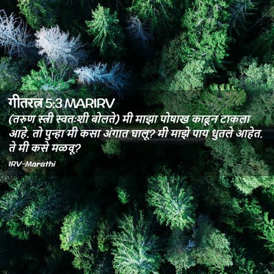 Picture 02 - गीतरत्न 5:3 MARIRV - (तरुण स्त्री - Bible Verse Picture