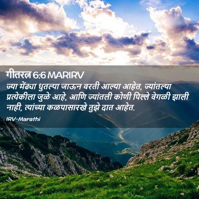 Picture 02 - गीतरत्न 6:6 MARIRV - ज्या मेंढ्या - Bible Verse Picture