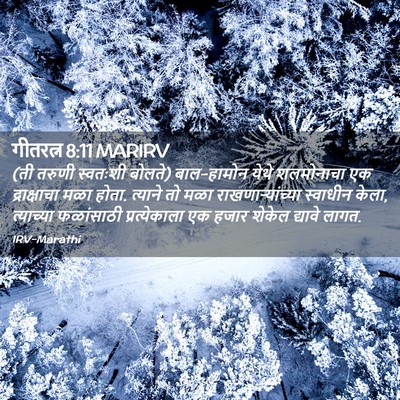 Picture 02 - गीतरत्न 8:11 MARIRV - (ती तरुणी स्वतःशी - Bible Verse Picture