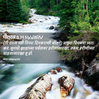 Picture 02 - गीतरत्न 8:14 MARIRV - (ती तरुण स्त्री - Bible Verse Picture