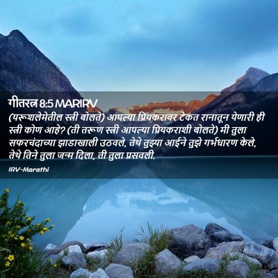Picture 02 - गीतरत्न 8:5 MARIRV - (यरूशलेमेतील - Bible Verse Picture