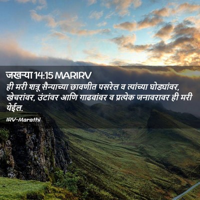 Picture 02 - जखऱ्या 14:15 MARIRV - ही मरी शत्रू - Bible Verse Picture