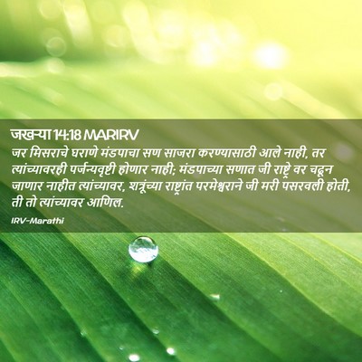 Picture 02 - जखऱ्या 14:18 MARIRV - जर मिसराचे घराणे - Bible Verse Picture