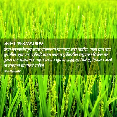 Picture 02 - जखऱ्या 14:8 MARIRV - तेव्हा - Bible Verse Picture