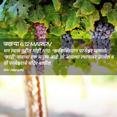 Picture 02 - जखऱ्या 6:12 MARIRV - मग त्यास पुढील - Bible Verse Picture