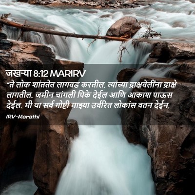 Picture 02 - जखऱ्या 8:12 MARIRV - “ते लोक शांततेत - Bible Verse Picture