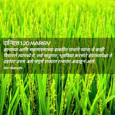 Picture 02 - दानिएल 1:20 MARIRV - ज्ञानाच्या आणि - Bible Verse Picture