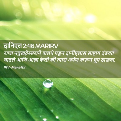 Picture 02 - दानिएल 2:46 MARIRV - राजा - Bible Verse Picture