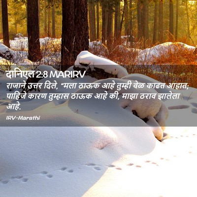 Picture 02 - दानिएल 2:8 MARIRV - राजाने उत्तर दिले, - Bible Verse Picture
