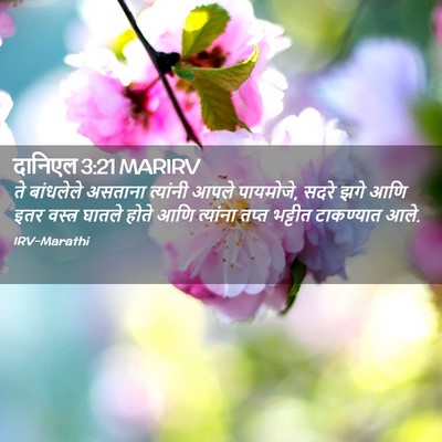 Picture 02 - दानिएल 3:21 MARIRV - ते बांधलेले - Bible Verse Picture