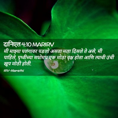 Picture 02 - दानिएल 4:10 MARIRV - मी माझ्या पलंगावर - Bible Verse Picture