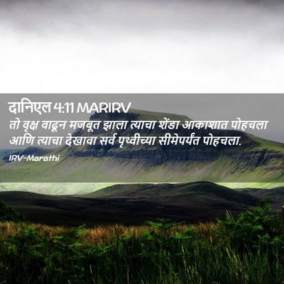 Picture 02 - दानिएल 4:11 MARIRV - तो वृक्ष वाढून - Bible Verse Picture