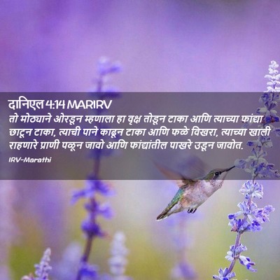 Picture 02 - दानिएल 4:14 MARIRV - तो मोठ्याने ओरडून - Bible Verse Picture