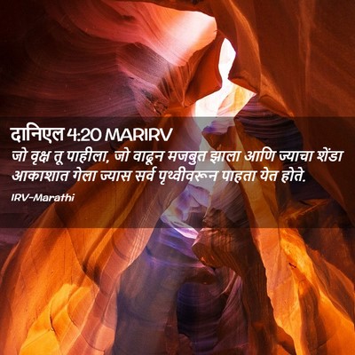 Picture 02 - दानिएल 4:20 MARIRV - जो वृक्ष तू पाहीला, - Bible Verse Picture