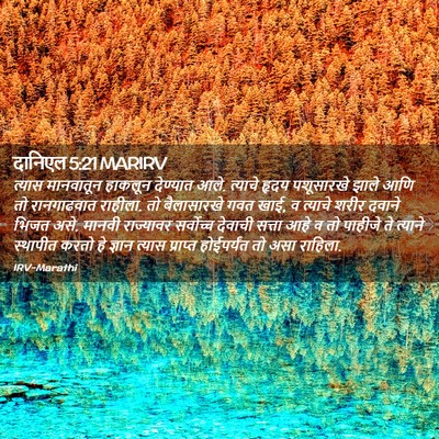 Picture 02 - दानिएल 5:21 MARIRV - त्यास मानवातून - Bible Verse Picture