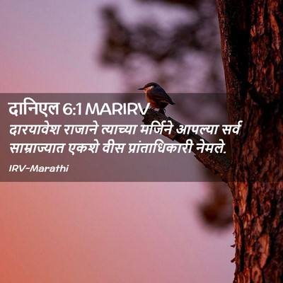 Picture 02 - दानिएल 6:1 MARIRV - दारयावेश राजाने - Bible Verse Picture