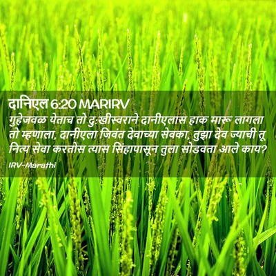 Picture 02 - दानिएल 6:20 MARIRV - गुहेजवळ येताच तो - Bible Verse Picture
