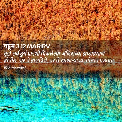 Picture 02 - नहूम 3:12 MARIRV - तुझे सर्व दुर्ग - Bible Verse Picture
