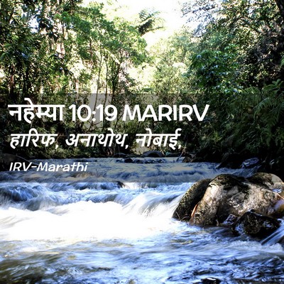 Picture 02 - नहेम्या 10:19 MARIRV - हारिफ, अनाथोथ, - Bible Verse Picture